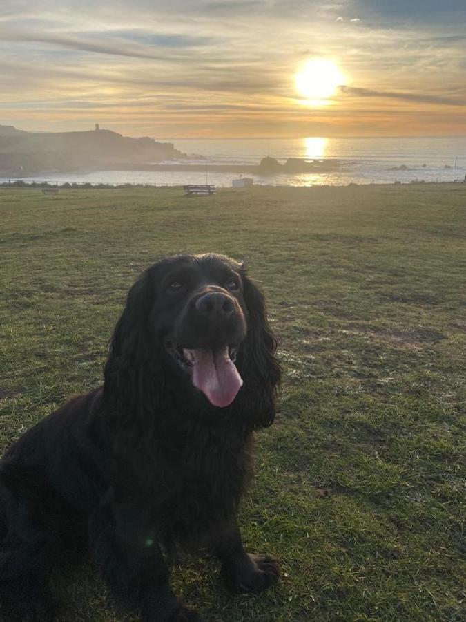 Pentire Coastal Holiday Park Bude Zewnętrze zdjęcie